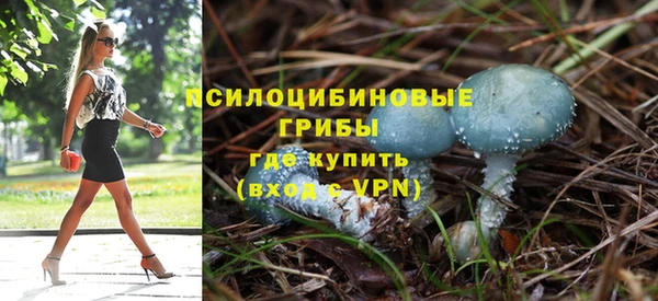 ГАЛЛЮЦИНОГЕННЫЕ ГРИБЫ Зеленокумск