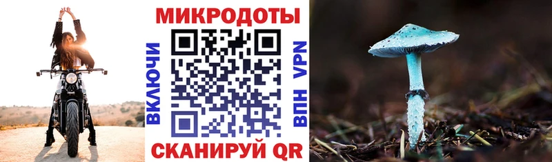 Псилоцибиновые грибы MAGIC MUSHROOMS  Купить  Котовск 